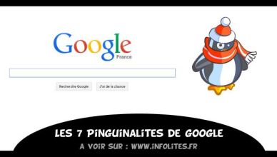 Pinguinalités de Google - Infolites