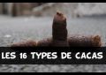 16-types-cacas