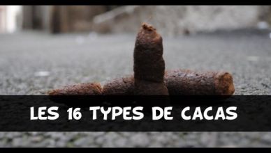 16-types-cacas