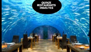 Top 15 des restaurants insolites