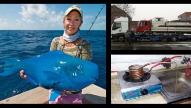 25 photos insolite du mercredi