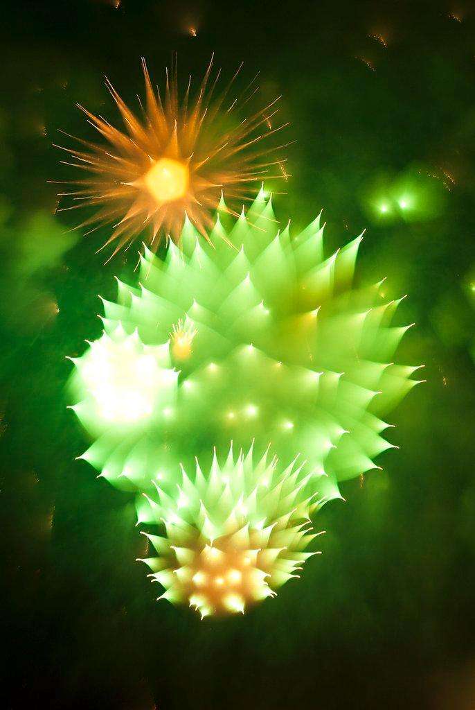 Fireworks, When the Camera Refocuses During the Explosion