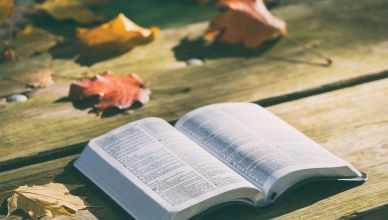 10 livres insolites à découvrir