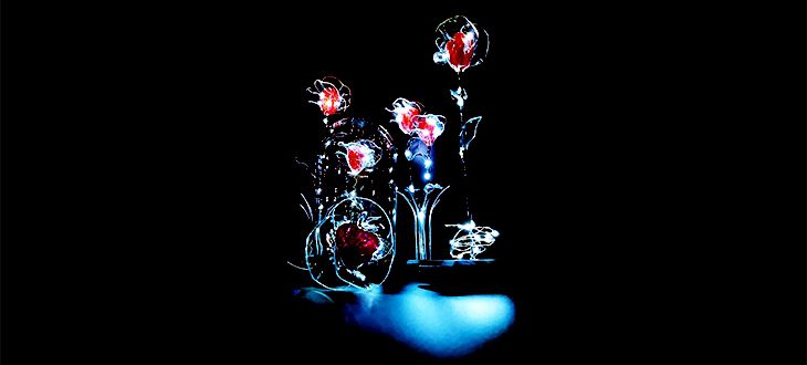 roses éternelles rouges lumineuses sur socle et cloche en verre