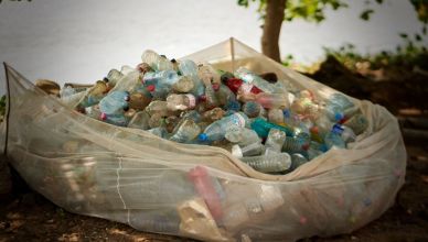 5 idées pour recycler vos bouteilles plastique