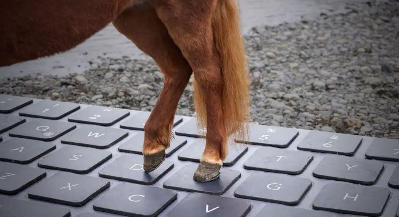 cheval qui écrit un mail