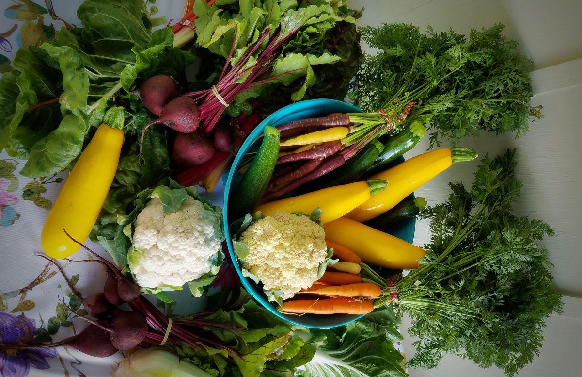 légumes bon pour le corps, l'esprit et la santé