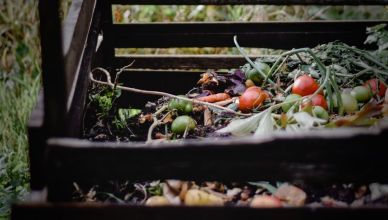 Ne jetez plus ces 5 aliments, ils peuvent servir d'engrais naturel