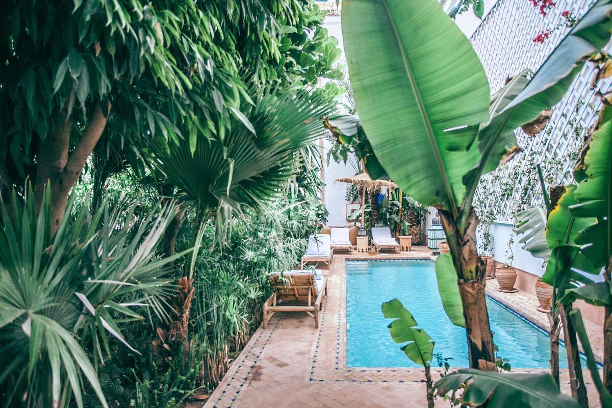 Comment choisir sa villa avec piscine lors d'un voyage en Guadeloupe