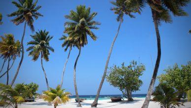 Où loger et dormir à Koh Rong Samloem