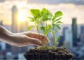 Le kellogg innovation network, c’est quoi ? kellogg innovation network