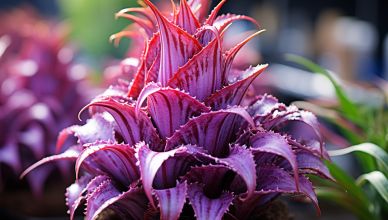 Plantes extraordinaires : Les découvertes botaniques qui dévoilent des propriétés surprenantes