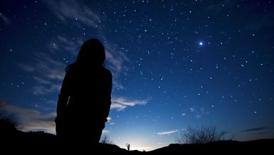 Sorties nocturnes à la chasse aux étoiles filantes : Des moments magiques sous le ciel étoilé