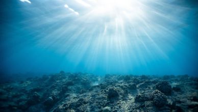 Découvertes océaniques - Les mystères des profondeurs mises à jour par la science