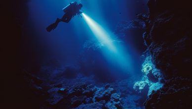 Découvertes océaniques : Les mystères des profondeurs mises à jour par la science