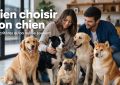 Choisir sa race de chien