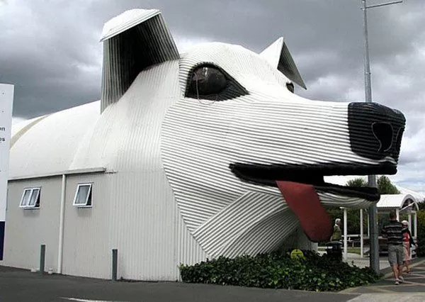 Dog House (maison en forme de chien) en Nouvelle-Zélande