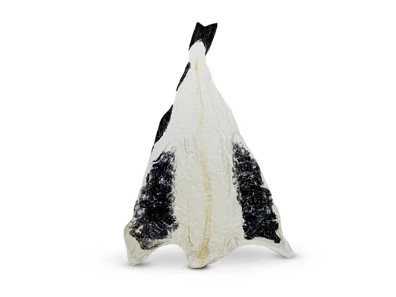 peau de poisson en porcelaine