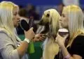 25 animaux qui ressemblent à leurs maitres