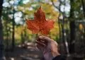 Top 11 des lieux insolites au Canada lieux insolites canada