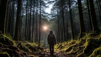 Randonnée nocturne : Oserez-vous défier l'obscurité ?