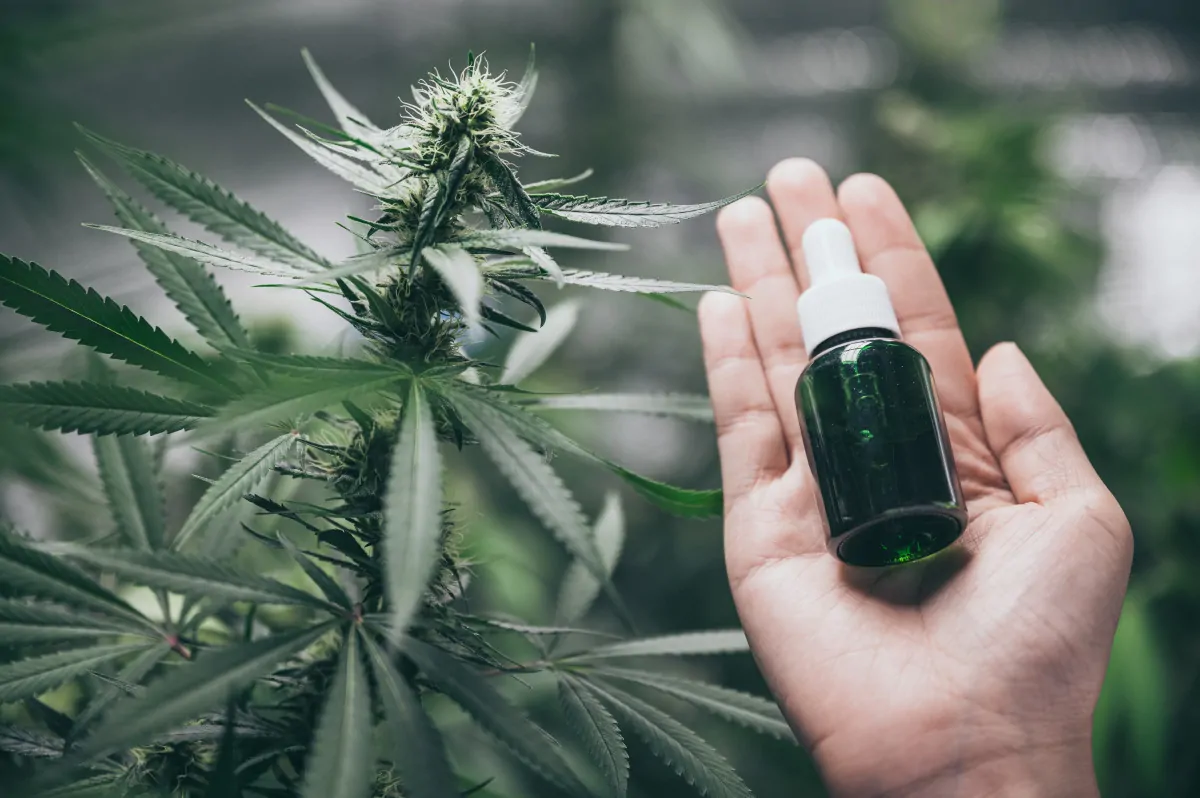 Toulouse distributeur automatique de CBD en libre-service